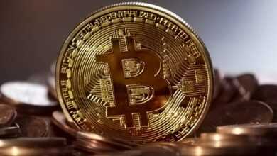 bitcoin, money, decentralized, virtual, coin, currency, cash, web, anonymous, international, digital, network, finance, internet, cryptography, cryptocurrency, blockchain, gold, btc, crypto-currency, brown money, brown network, brown finance, brown internet, brown digital, brown web, bitcoin, bitcoin, bitcoin, bitcoin, bitcoin, btc