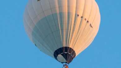 hot air balloon, montgolfiade, mass start, captive balloon, ballooning, air sports, hot air balloons, balloon, heaven, hot air balloon ride, warstein