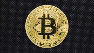 bitcoin, blockchain, currency, coin, gold, bitcoin business, bitcoin icon, safety, bitcoin wallet, bank, business, cash, bit, trade, conceptual, exchange, cryptocurrency, bitcoin, bitcoin, bitcoin, bitcoin, bitcoin