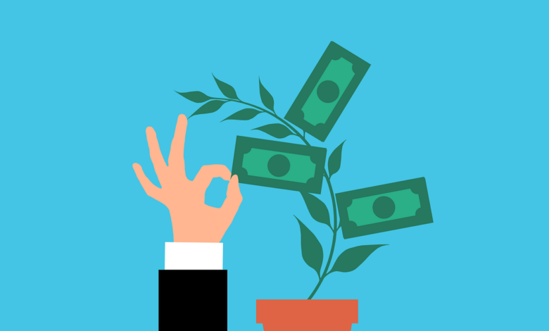 money, plant, investment, cash, tree, business, collecting, growth, profit, banknote, stack, nature, collection, dollar, finance, cartoon, payment, hand, earning, economy, income, passive income, rich, wealth