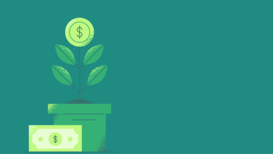 growth, money, wealth, savings, investment, finance, money, money, money, money, money, wealth, wealth, investment