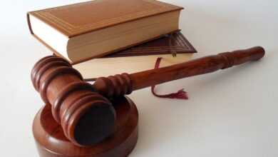 hammer, books, law, dish, lawyer, paragraphs, regulation, court of justice, a book, §, code, law books, judge, order, rule, disposal, auction, law, law, law, law, law, lawyer, lawyer