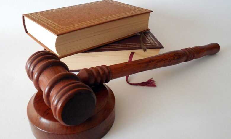 hammer, books, law, dish, lawyer, paragraphs, regulation, court of justice, a book, §, code, law books, judge, order, rule, disposal, auction, law, law, law, law, law, lawyer, lawyer
