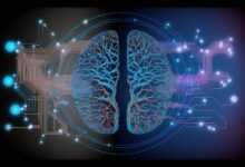 cyber, web3, brain, circuit, artificial intelligence, computer, network, sabernetics, cyberpunk, web3, web3, web3, web3, web3, brain, brain, brain, brain, artificial intelligence, artificial intelligence, cyberpunk, cyberpunk