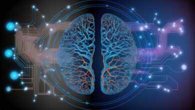 cyber, web3, brain, circuit, artificial intelligence, computer, network, sabernetics, cyberpunk, web3, web3, web3, web3, web3, brain, brain, brain, brain, artificial intelligence, artificial intelligence, cyberpunk, cyberpunk