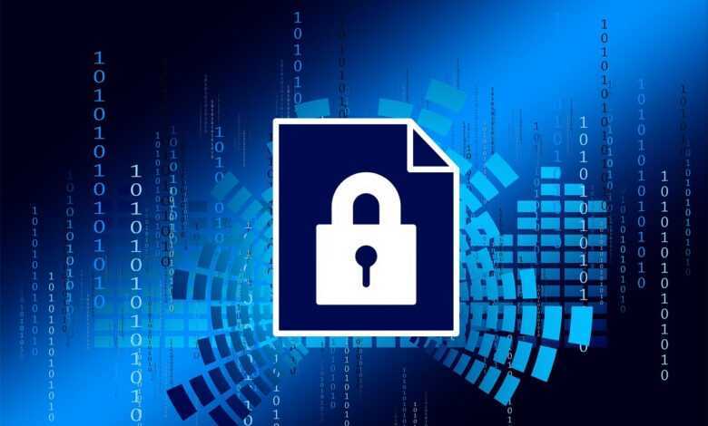 security, privacy policy, digitization, security service, technology, protect, computer, password, protection, data theft, hacker, internet, network, web, virus scanner, transformation, security, security, security, security, security, hacker, hacker