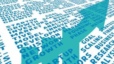 startup, goal, strategy, growth, scaling, financing, investors, business, plan, market, research, competitive analysis, business model, innovation, product, development, customer, acquisition, marketing, sales, network, founding, phase