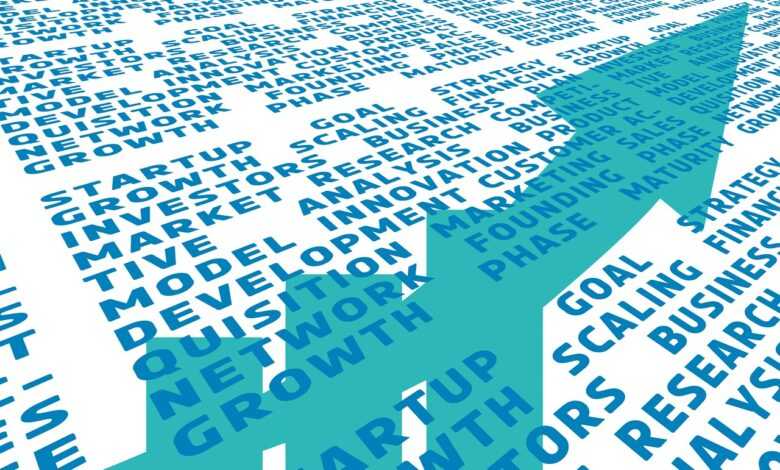 startup, goal, strategy, growth, scaling, financing, investors, business, plan, market, research, competitive analysis, business model, innovation, product, development, customer, acquisition, marketing, sales, network, founding, phase