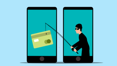phishing, fraud, hacking, online fraud, scam, concept, hacker, thief, crime, security, hack, technology, criminal, cartoon