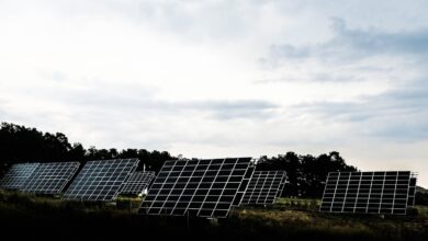 silhouette photography of assorted solar panel behind trees