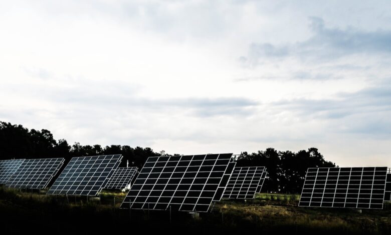 silhouette photography of assorted solar panel behind trees